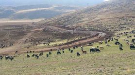 Pervari’de Zirin Gölü taş tahkimatıyla korunuyor