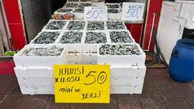 Rize'de Uygun Fiyatla Hamsi Keyfi