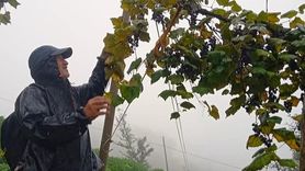 Rize’nin geleneksel lezzeti çüme