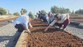 Safran Ekimi İçin Uygulamalı Eğitim: Diyarbakır Büyükşehir Belediyesi Atölyesi