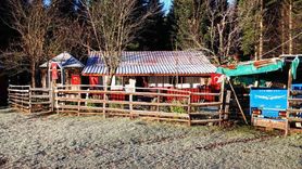 Sakarya'nın Dikmen ve Çiğdem Yaylalarında mevsimin ilk karı