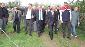 Samsun Çarşamba’da 2025 Kivi Hasat Etkinliği