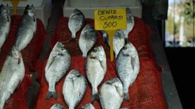 Samsun'da Balık Fiyatları Tezgâhlarda Yüksek Seyrediyor