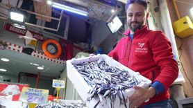 Samsun'da Hamsi Bolluğu ve Pahalılık İlişkisi