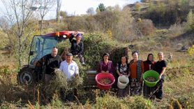 Samsun'da Tarımsal Dayanışma Projesi Başlatıldı