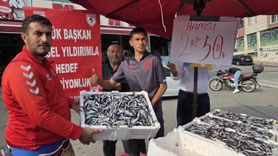 Samsunlu taraftar balıkçı hamsiyi kilosu 25 TL'den satışa sundu