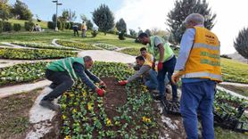 Şanlıurfa'da 400 bin mevsimlik çiçek belediye seralarında üretildi