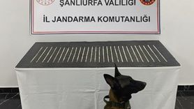 Şanlıurfa'da jandarma operasyonu: 4 kişi gözaltında