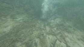 Sapanca Gölü'ndeki kabarcıkların sebebi: Yeraltından doğal hava çıkışı