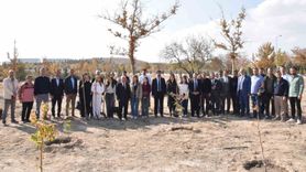 Selçuk Üniversitesi'nde Milli Ağaçlandırma Günü'nde yüzlerce fidan dikildi