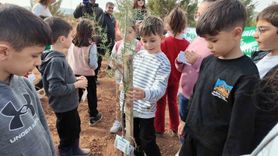 Siirt'te 11 Kasım'da Binlerce Fidan Toprakla Buluştu