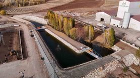 Sivas 1. Organize Sanayi Bölgesi’nden çevre odaklı adım: Gölet ve binlerce fidan
