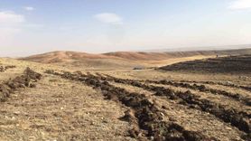 Sivas’ta meralar tuz çalısıyla ıslah ediliyor