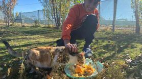 Sokak Hayvanlarına Sevgiyle Yuvasını Açtı