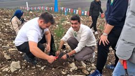 SUBÜ öğrencileri 11 Kasım’da fidan dikti