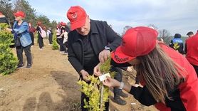 Sultangazi Şehir Ormanı'nda şehitler anısına fidan dikimi