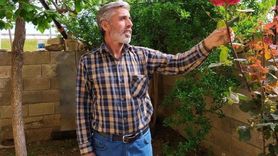 Suruç'ta kamyonla çarpışan elektrikli bisiklet sürücüsü yaşamını yitirdi