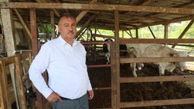 Tarım Krizinin Eşiğinde: Başkan Pütün'den Çarpıcı Uyarı