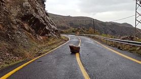 Tekirdağ'da yağış sonrası Yeniköy-Uçmakdere yoluna kaya parçaları düştü