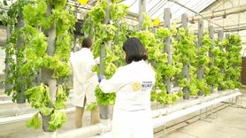 TENMAK ile Gıda Güvenliğinin Güçlendirilmesi