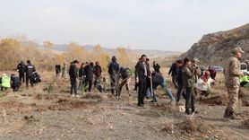 Tercan’da 11 Kasım Milli Ağaçlandırma Günü'nde Fidan Dikimi Yapıldı