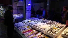 Trabzon'da hamsi bolluğu: Kilo ~50 TL, vatandaş kışlık stok yapıyor