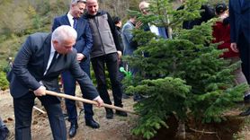Trabzon'da şehitler anısına fidan dikildi