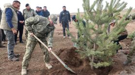 Üsteğmen İsmail Aksu anısına 2 bin 400 rakımlı tepede fidan dikildi