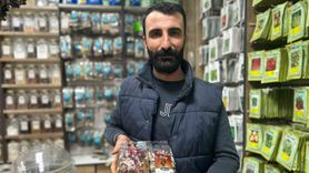 Van'da Kışın Bağışıklık İçin Bitkisel Çaylara Talep Artıyor