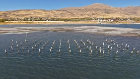 Van Gölü'ndeki Çekilme Tarihi İskelenin Ayaklarını Ortaya Çıkardı