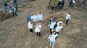 Yalova'da 11 Kasım'da 'Sevdamız Yeşil Vatan' ile fidan dikimi