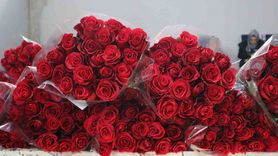 Yalova mezatlarında 24 Kasım Öğretmenler Günü yoğunluğu