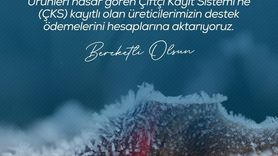 Zirai don desteği: Çiftçilere 798 milyon lira ödendi