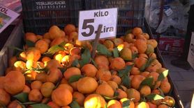 Adana'da mandalina fiyatları dalında 3 TL'ye kadar geriledi