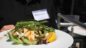 Antalya EKDAĞ tesislerinde sebze ve meyveler ozonla dezenfekte ediliyor