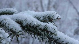 Ardahan beyaza büründü: Kar yağışı kentte kartpostallık görüntüler oluşturdu
