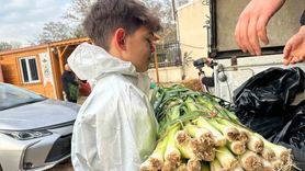 Ata tohumundan üretilen doğal sebzeler Kent Lokantası'nda