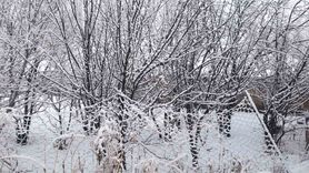 Başkale'de kar hayatı etkiledi