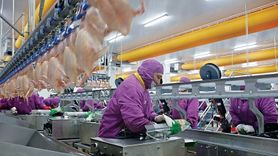 Beyaz ette üretim ve tüketim artışı: HasTavuk’un 2025 öngörüsü