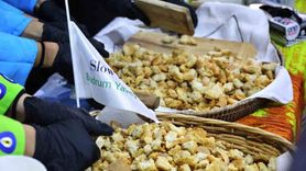 Bodrum'da 12. Toprak Ana Günü ve Yerli Malı Haftası kutlandı