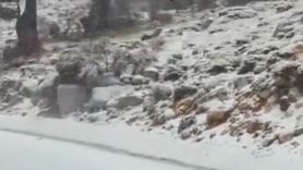 Bozdağ'da kar yağışı: Denizli'nin yüksekleri beyaza büründü