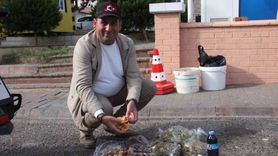 Bozdoğan’da Doğal Mantarların Lezzeti ve Toplama Uyarısı