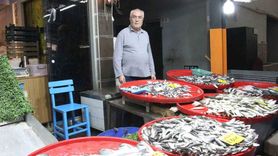 Bozdoğan’da hamsi tezgahların başında: İstavrit ve sardalya da rağbet görüyor
