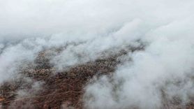 Çankırı Korgun'da Sisle Buluşan Sonbahar Ormanları Kartpostallık Görüntüler Oluşturdu