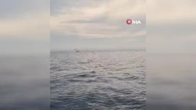 Çeşme'de Sahil Güvenlik ile mülteci botu takibi