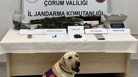 Çorum Osmancık'ta uyuşturucu operasyonu: 1 kişi tutuklandı