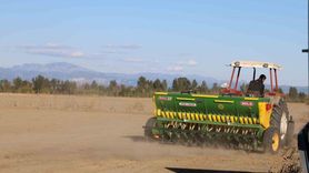 Çukurova'da buğday ekimi Kozan'da başladı
