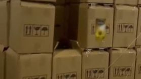 Denizli’de Kaçak Bitkisel Yağ Operasyonu: Binlerce Litre Ele Geçirildi