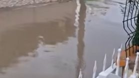 Didim'de sağanak: cadde ve bulvarlar suyla doldu