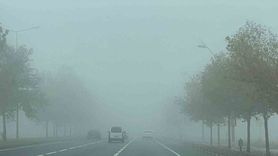 Diyarbakır'da Yoğun Sis Ulaşımı Olumsuz Etkiledi